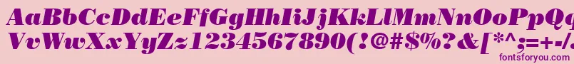 フォントBodoniPosterSsiPosterItalic – ピンクの背景に紫のフォント