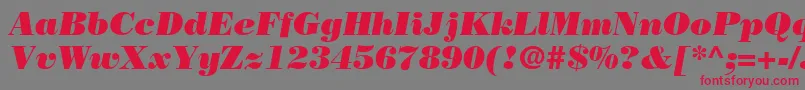 BodoniPosterSsiPosterItalic Font – Red Fonts on Gray Background