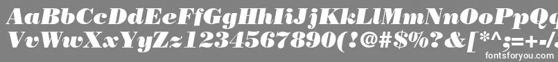 Шрифт BodoniPosterSsiPosterItalic – белые шрифты на сером фоне
