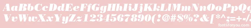 Fonte BodoniPosterSsiPosterItalic – fontes brancas em um fundo rosa