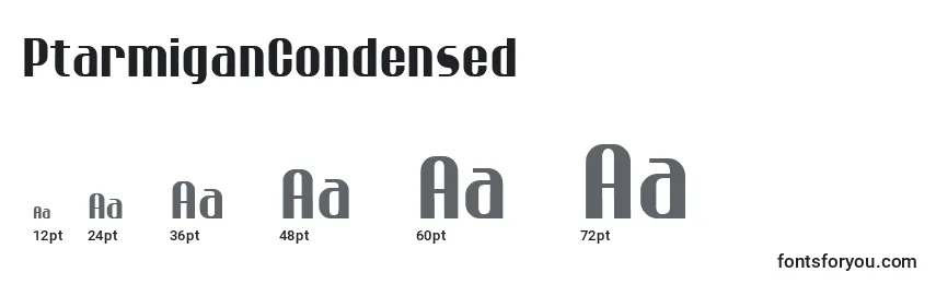 PtarmiganCondensed Font Sizes