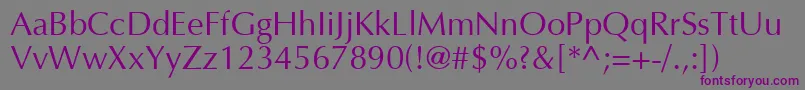 Шрифт AgoptcN – фиолетовые шрифты на сером фоне