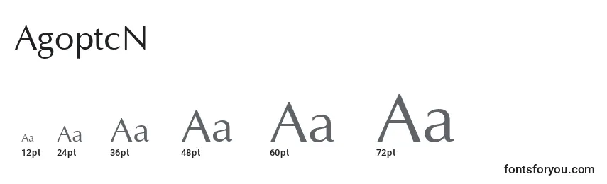 Größen der Schriftart AgoptcN
