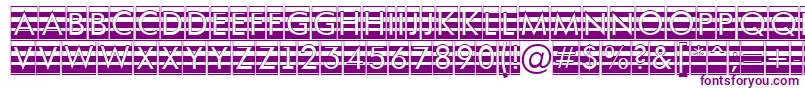 Шрифт AFuturaortotitulcmgrd – фиолетовые шрифты на белом фоне
