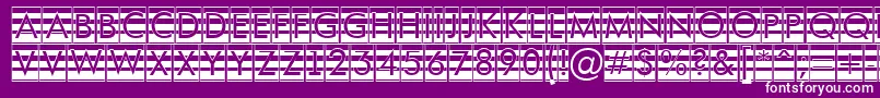 AFuturaortotitulcmgrd Font – White Fonts on Purple Background