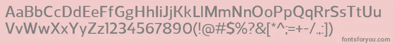 ReganDemibold Font – Gray Fonts on Pink Background