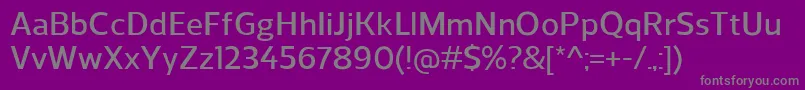 ReganDemibold Font – Gray Fonts on Purple Background