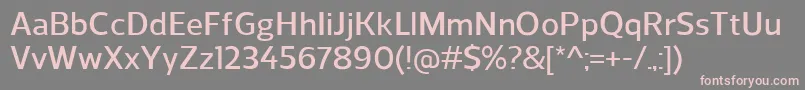 ReganDemibold Font – Pink Fonts on Gray Background