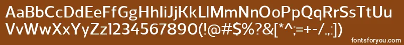 ReganDemibold Font – White Fonts on Brown Background