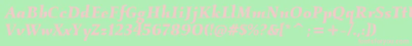 KallosItcBoldItalic Font – Pink Fonts on Green Background