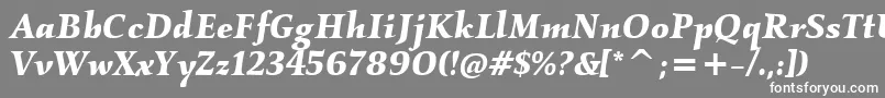 フォントKallosItcBoldItalic – 灰色の背景に白い文字