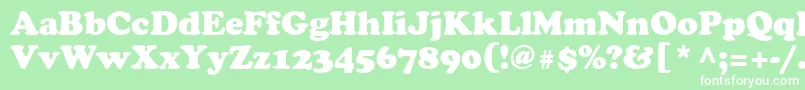 AgcrownstyleRoman Font – White Fonts on Green Background