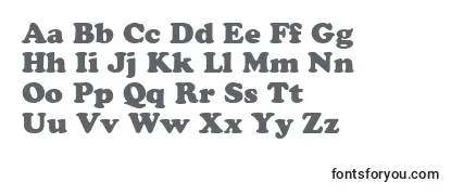 Review of the AgcrownstyleRoman Font