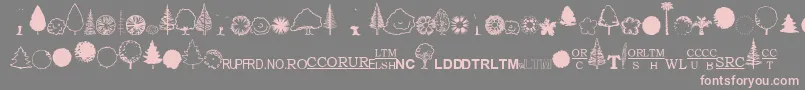 EsriUsForestry2 Font – Pink Fonts on Gray Background