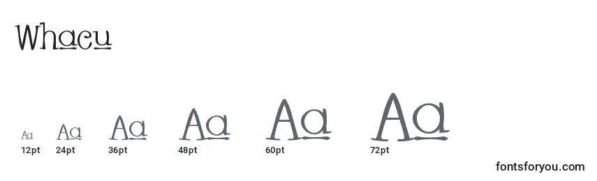 Размеры шрифта Whacu