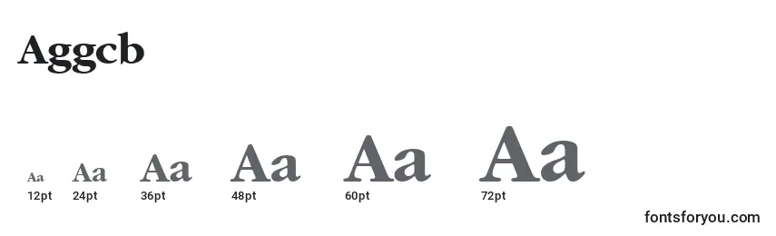Размеры шрифта Aggcb