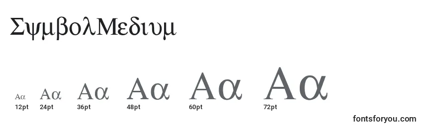 Размеры шрифта SymbolMedium