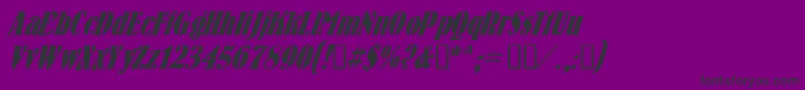 Bernhard.KzItalic Font – Black Fonts on Purple Background