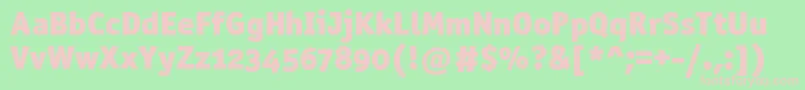 Officinasanblkositctt Font – Pink Fonts on Green Background