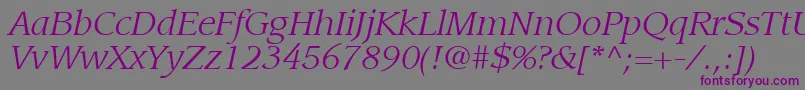 ItcLeawoodLtBookItalic-fontti – violetit fontit harmaalla taustalla