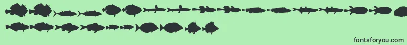 フォントLeFish – 緑の背景に黒い文字