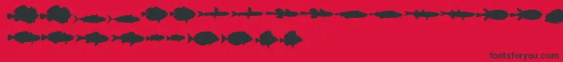 フォントLeFish – 赤い背景に黒い文字