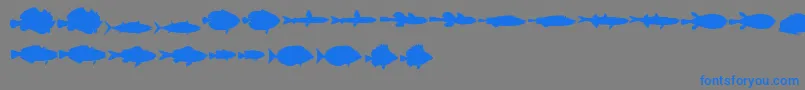 LeFish Font – Blue Fonts on Gray Background