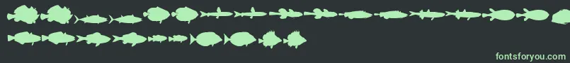 LeFish-fontti – vihreät fontit mustalla taustalla