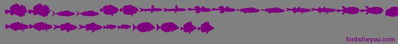 Więcej informacji o czcionce LeFish Czcionka LeFish – fioletowe czcionki na szarym tle