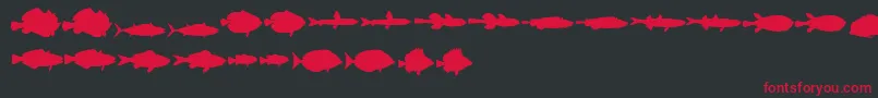 Police LeFish – polices rouges sur fond noir