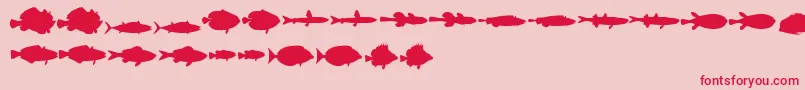 fuente LeFish – Fuentes Rojas Sobre Fondo Rosa