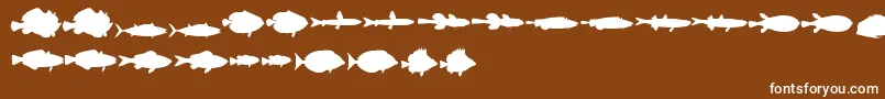 Czcionka LeFish – białe czcionki na brązowym tle