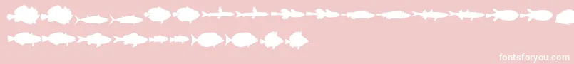 LeFish Font – White Fonts on Pink Background