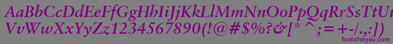 ClassicalGaramondBoldItalicBt Font – Purple Fonts on Gray Background