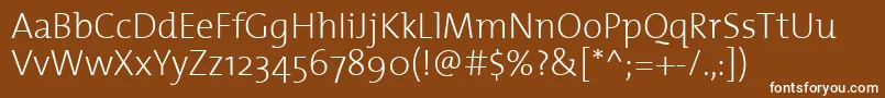 ThemixextralightPlain Font – White Fonts on Brown Background