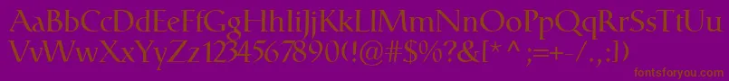 CatullRegular Font – Brown Fonts on Purple Background