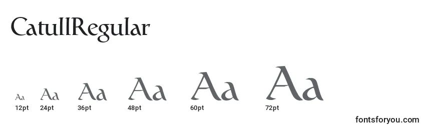 CatullRegular Font Sizes