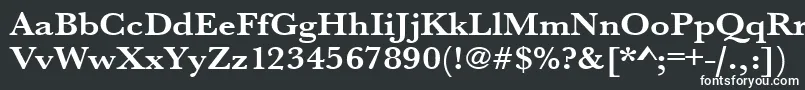 フォントUrwbaskertextwidBold – 白い文字