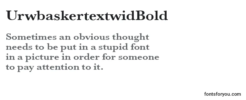 Review of the UrwbaskertextwidBold Font