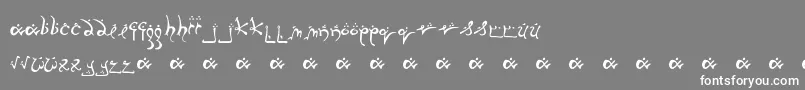 フォントRunnsm – 灰色の背景に白い文字