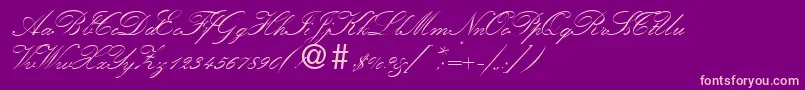 KremlinscripttwoRegularDb Font – Pink Fonts on Purple Background