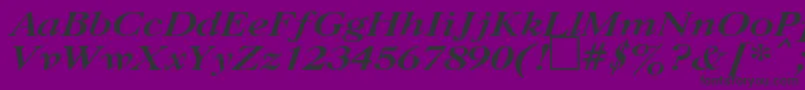 UkCaslonBoldItalic Font – Black Fonts on Purple Background