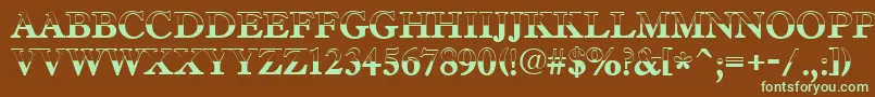 AAntiquetradyttlbw Font – Green Fonts on Brown Background