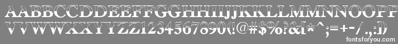 AAntiquetradyttlbw Font – White Fonts on Gray Background