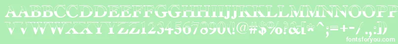 AAntiquetradyttlbw Font – White Fonts on Green Background