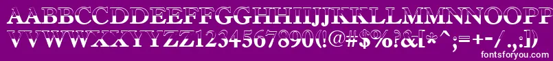 AAntiquetradyttlbw Font – White Fonts on Purple Background