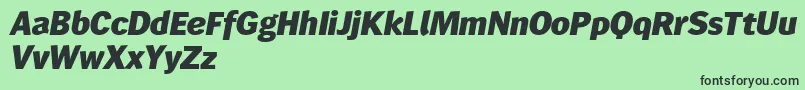 Wendelinreduced86fettkursiv Font – Black Fonts on Green Background