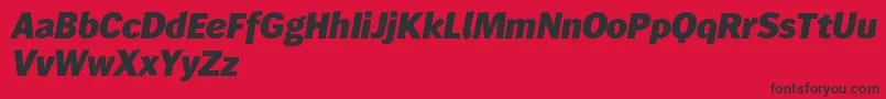 Wendelinreduced86fettkursiv Font – Black Fonts on Red Background