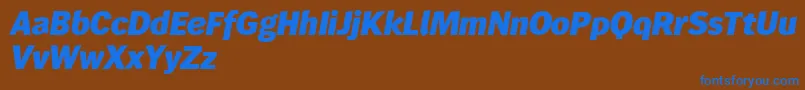 Wendelinreduced86fettkursiv Font – Blue Fonts on Brown Background