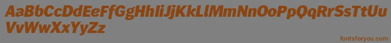 Wendelinreduced86fettkursiv Font – Brown Fonts on Gray Background